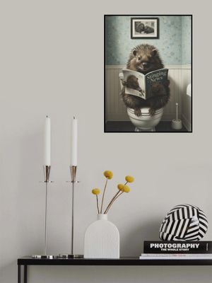 Porcupine In the Bathroom