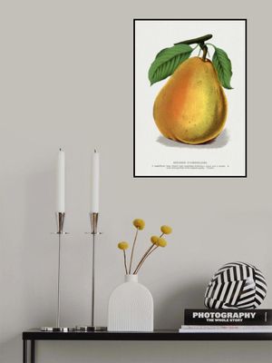 Duchess D'angouleme Pear Lithograph