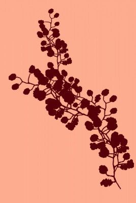 Floral Silhouette 4