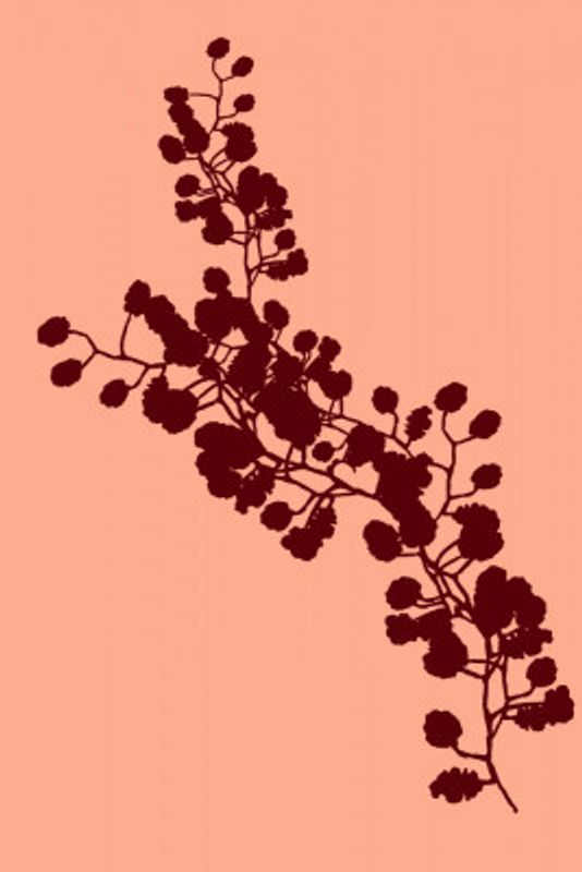Floral Silhouette 4