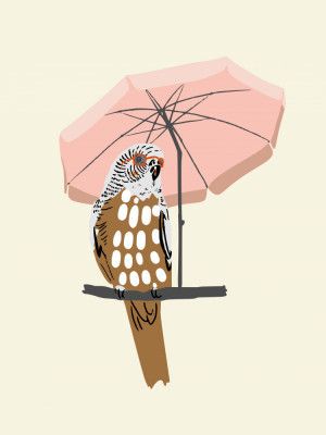 budgie on vacation cream white 1