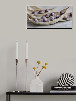 Purple Seed Symphony