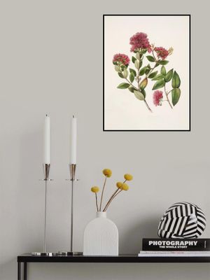 Rata By Sarah Featon (1848–1927)