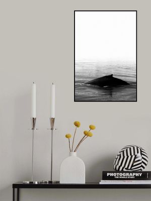 Whale Fin  Black Iceland