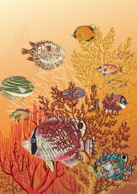 coral reef deep silence orange