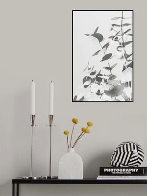 Eucalyptus Creative 10