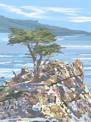 Quiet Sentinel, 17 Mile Drive, California