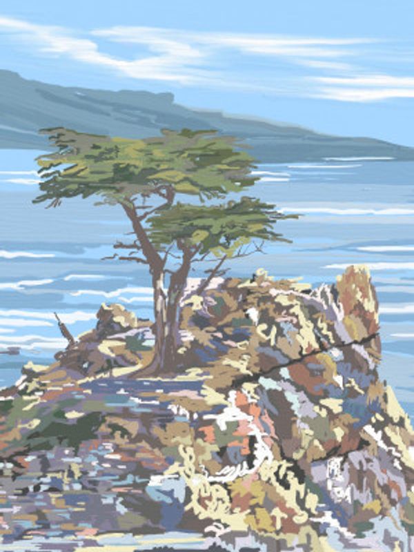 Quiet Sentinel, 17 Mile Drive, California