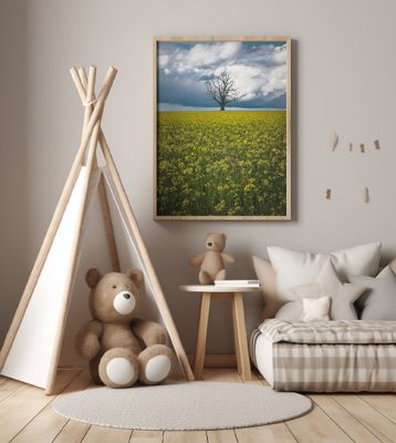 Oaktree on canolafield