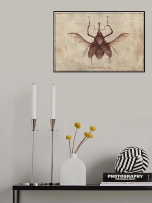 Vintage Style And Sepia Tones