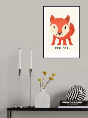 Red Fox