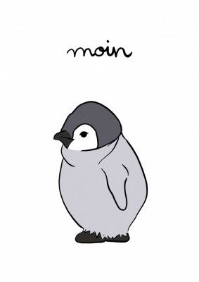 Moin Pinguin