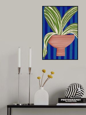Modern Plant Decor