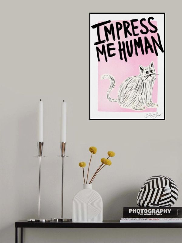 Cat Owner - Impress Me Human