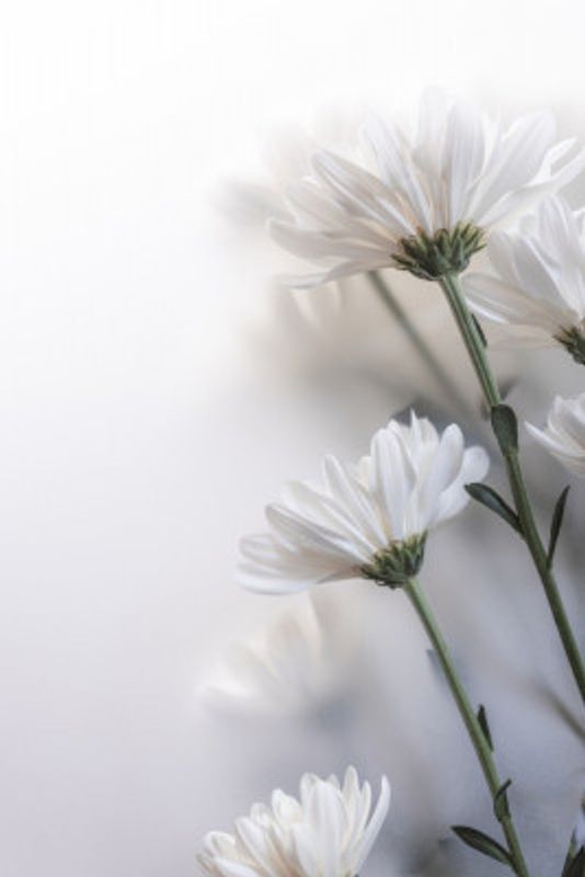 Blurred Flowers 8