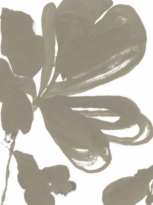 Giant Taupe Floral 1