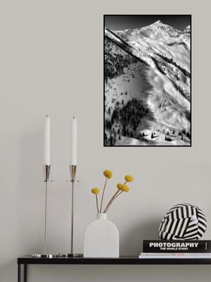 Low winter sun shadows 2