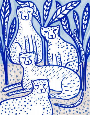 Blue Jungle Cheetahs