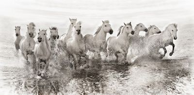 Illusion of power (13 horse power though)