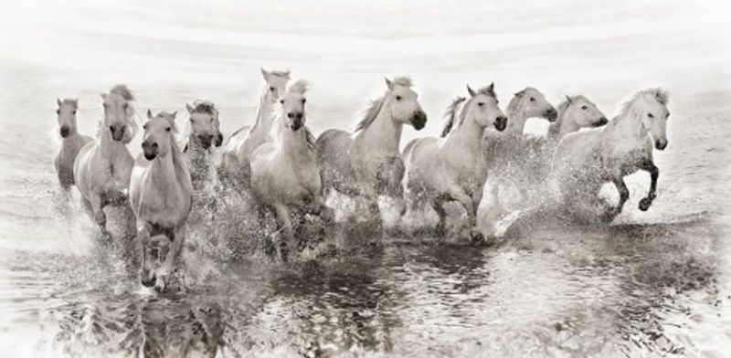 Illusion of power (13 horse power though)