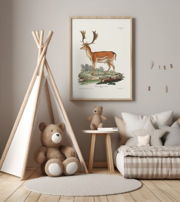 European Fallow Deer  By Johann Christian Daniel Von Schreber.