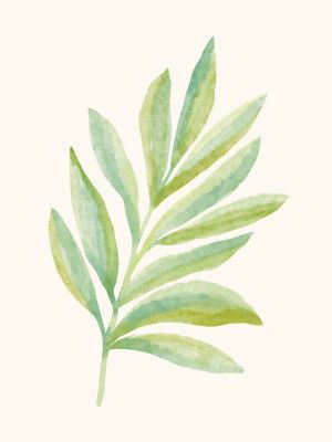 Watercolor Fern