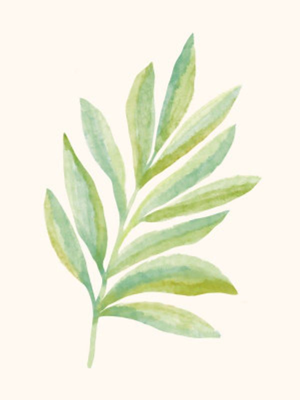 Watercolor Fern