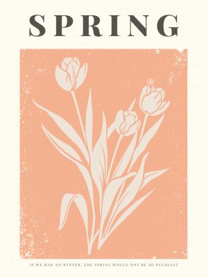 Tulip Blossom Delight