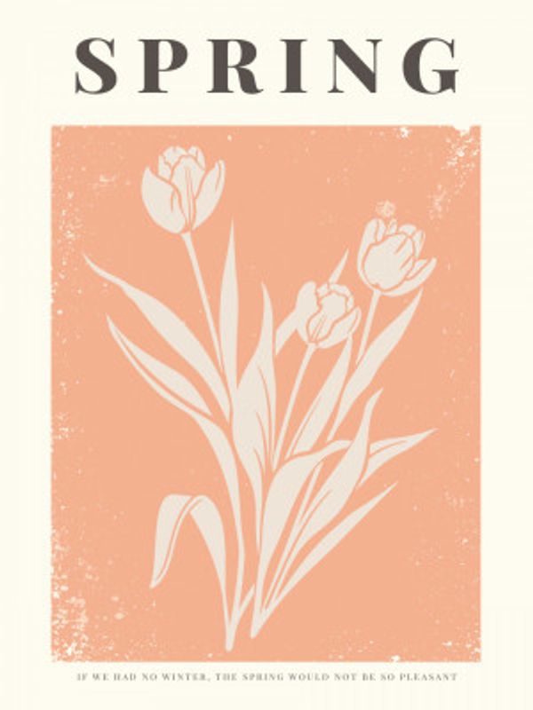 Tulip Blossom Delight