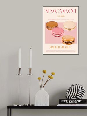 French Macaron Delight
