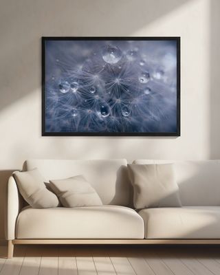 Water droplets in dandelion