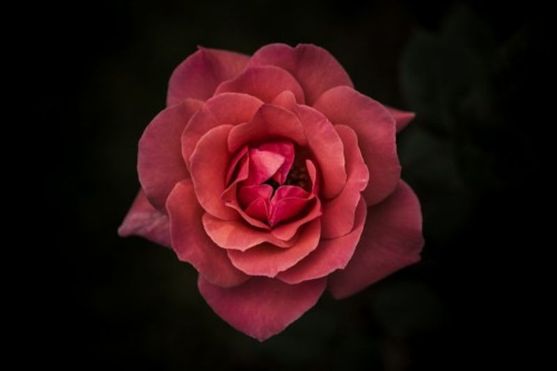 Simplicity is Beauty