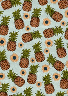 Stylized Pineapple Illustration