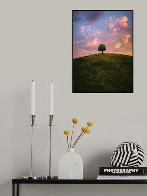 Tree on hill during sunset