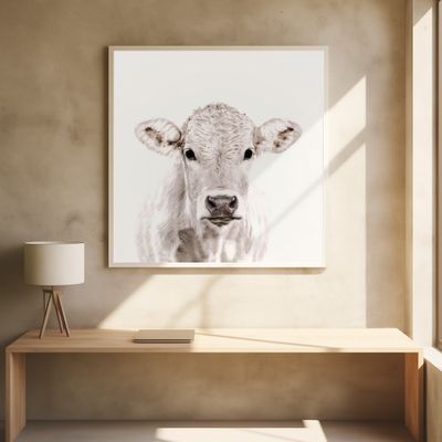 Blonde Cattle Maverick