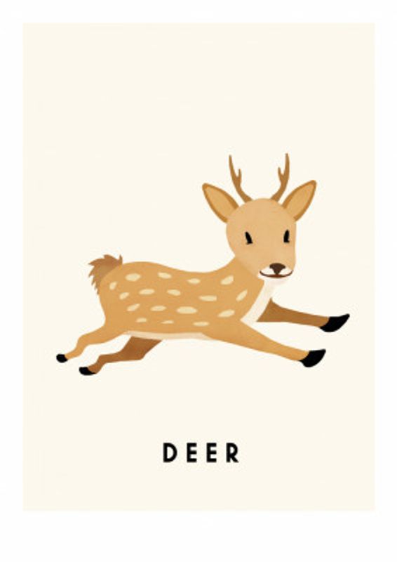 Deer