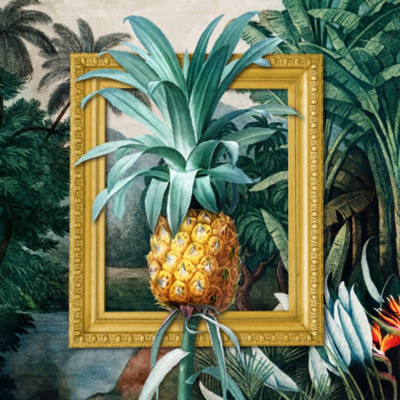 L'ananas Tropical