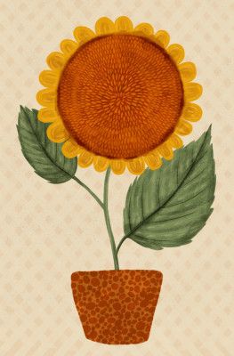 Sunflower Pot