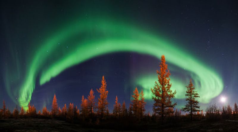 Northern lights