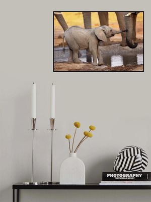 Play with me, please!