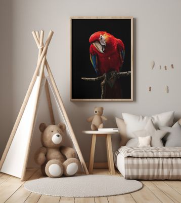 Portrait of Scarlet Macaw