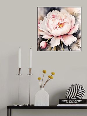 Pfingstrose, Aquarell