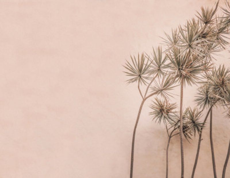 Natural Beauty And Serene Design