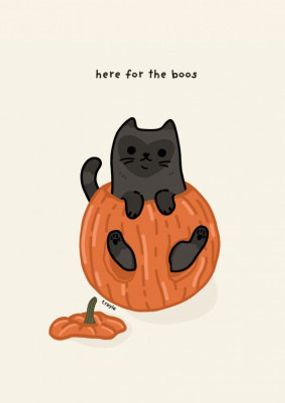 Black Cat Playfully Sitting In A Pumpkin