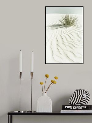 WHITE SANDS Idyllic vintage scenery