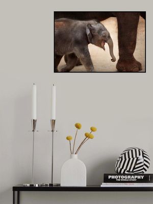 THE MAGIC OF WALKING