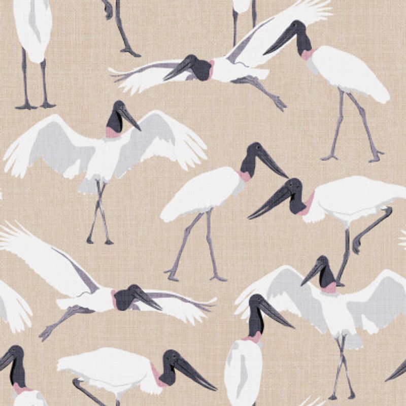 Dance of the Tuiuiui Sand