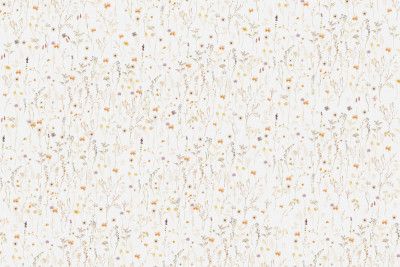 A Million Wildflowers on White