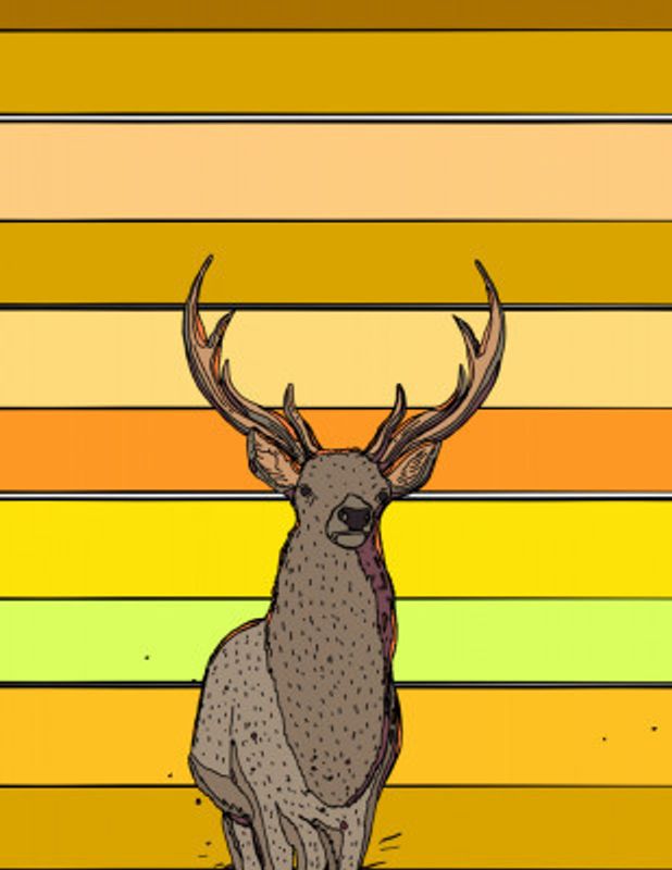Deer Stripes