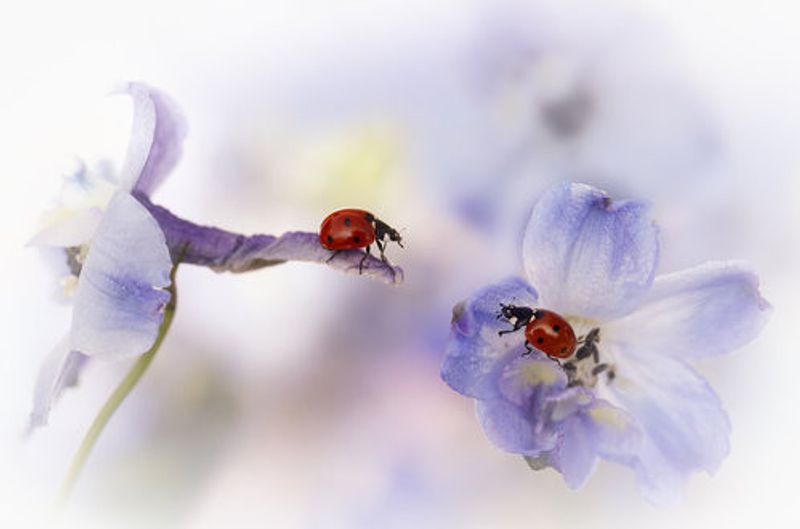 "Very nice meeting you...."